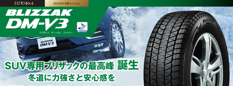 BLIZZAK DM-V3